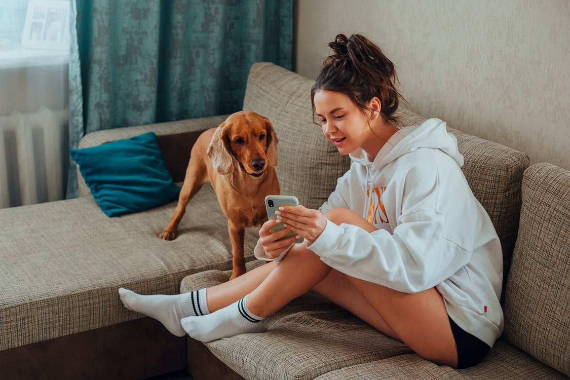 Telemedicina-veterinaria-passa-a-ser-regulamentada-por-resolucao-no-pais