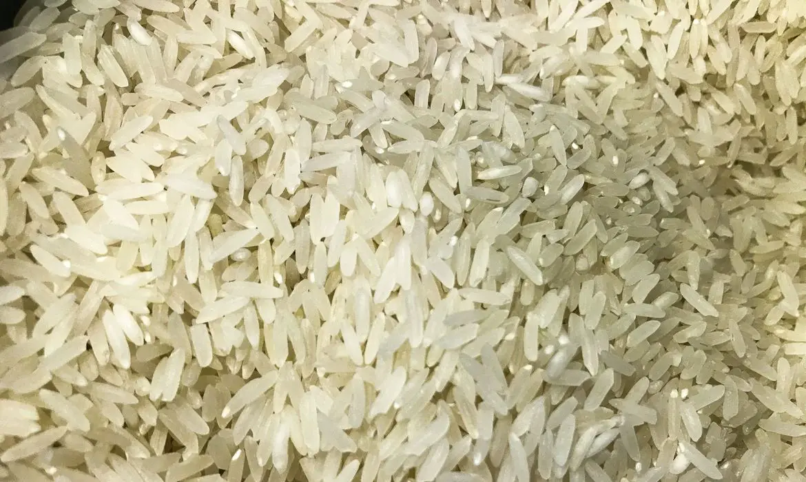 arroz_1009201525.jpg