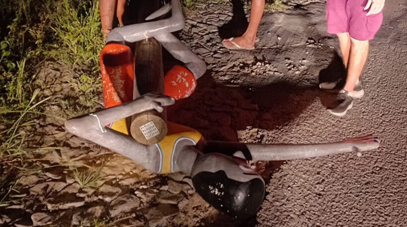 1_escultura_pau_de_sebo_museu_brinquedim_encontrada_aquiraz-33573648