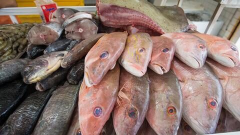 Peixe20quaresma205