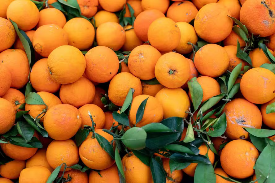 laranjas-de-fruta-saudavel-na-su