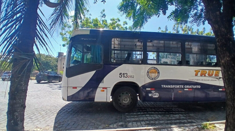 1_true_eusebio_transporte-35281032
