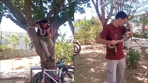 Cobra%20morde%20estudante%20de%20Biologia