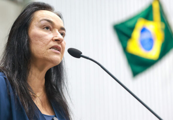 1_03_03_2026___dep__dra__silvana_pl___plenario___foto_junior_pio__8_-39965432