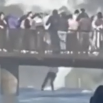 turista-e1780861105482.png