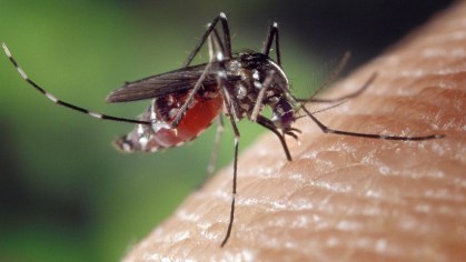 IMG_8560
